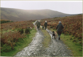 Members of the Picking-up Team with their dogs